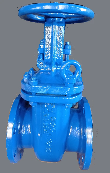 Steel Wedge Gate Valve with Expanding Spindle and Handwheel DN 100