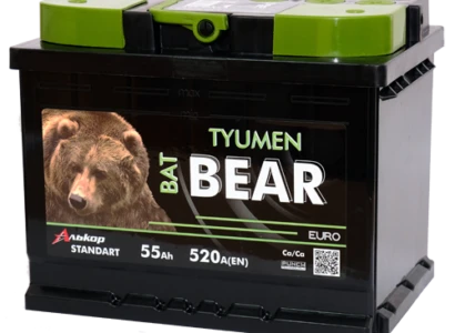 Lead-Acid Starter Battery for Internal Combustion Engine 12V 6ST-55VLA Tyumen BatBEAR