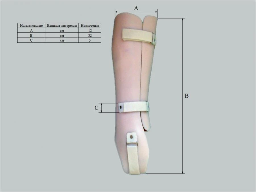 Custom Cosmetic Tutor for Lower Leg