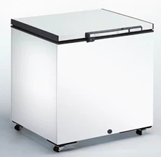 Derby Freezer Chest Model F38 for Efficient Cold Storage