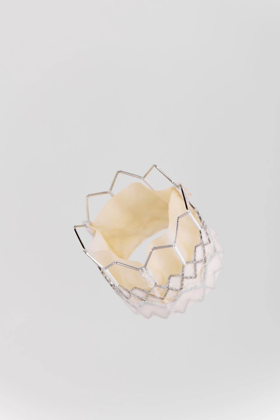 Aortic Heart Valve Replacement with Transcatheter Delivery System "MedLab-CT" Model: Aorta