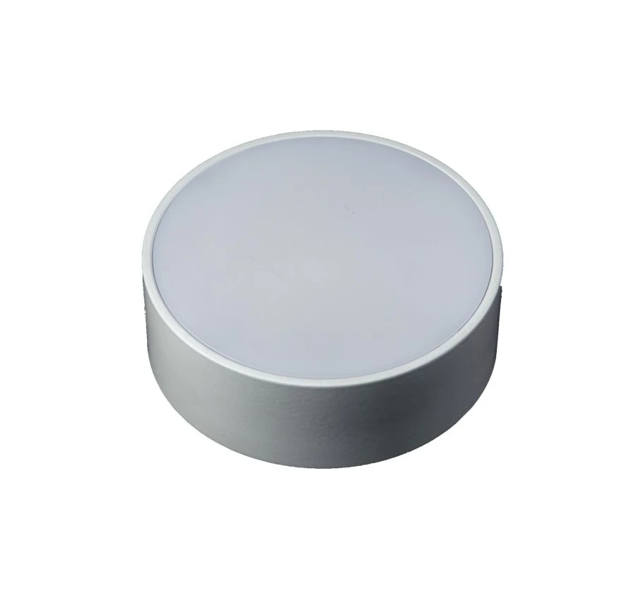 LED Lighting Fixture for Entrances, Basements, and Garages BL-Q-1