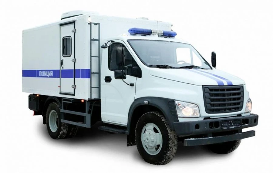 Special Purpose Cargo Vehicle with Spark Ignition Model 47951N-3