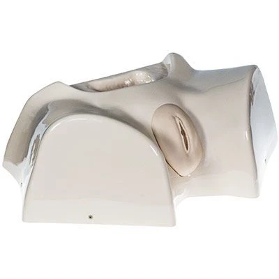Female Perineum Phantom for Bladder Catheterization ZIK-10