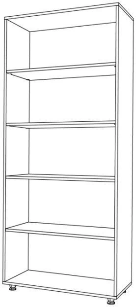 Office Cabinet with Shelves