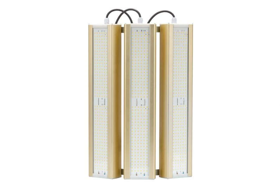 LED Light Module GOLD Universal UM-3 3000K 288W