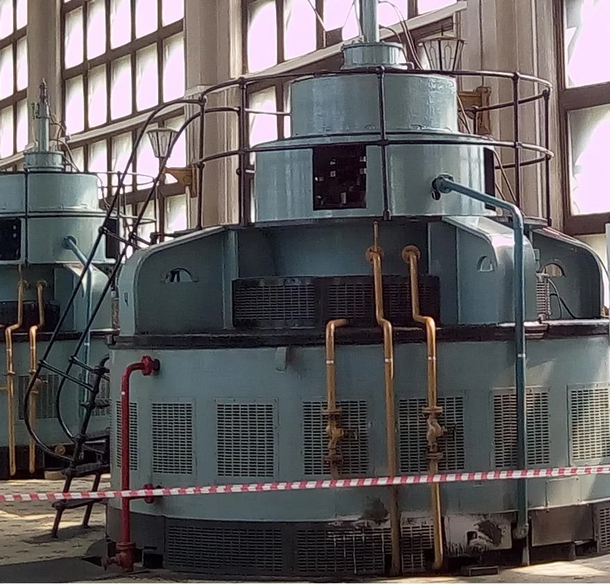 Vertical Synchronous Motor VDS2-325/29-24UHL4