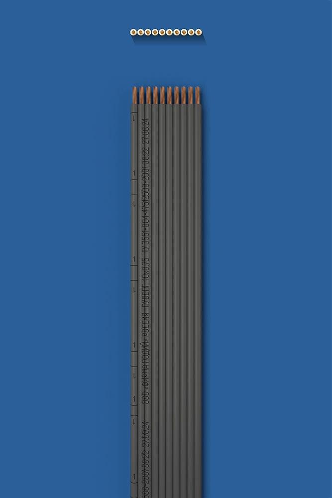 Flat Installation Wire with Double Insulation 10x0.75 PUWVP