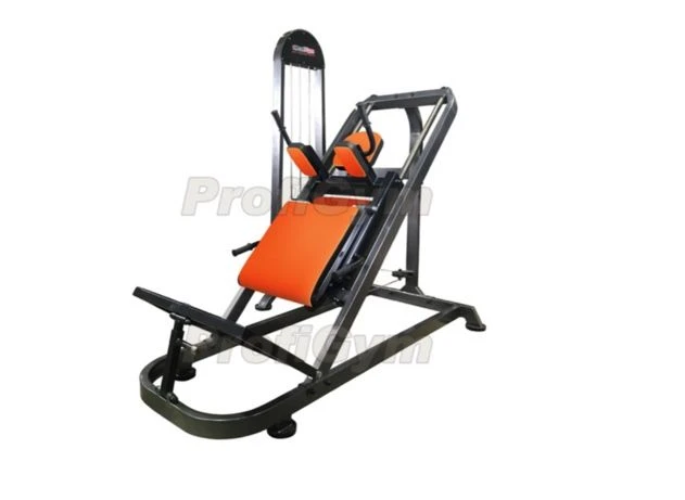 Calf Machine and Hack Squat Machine ProfiGym TG-0270-C