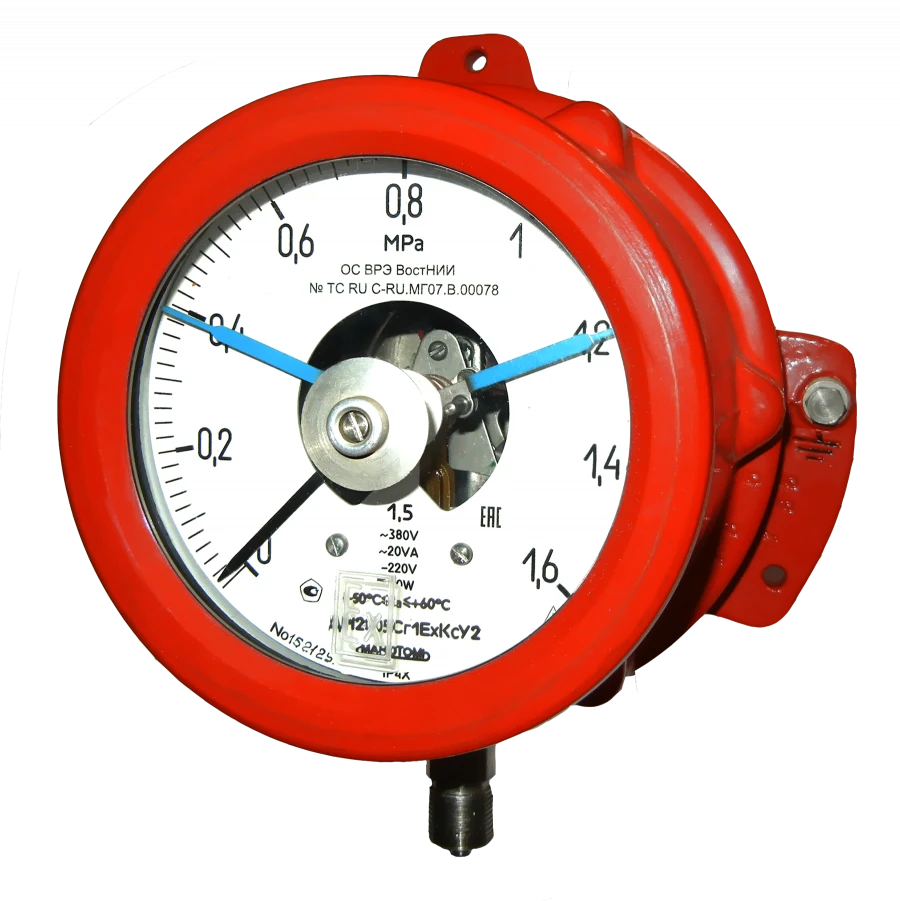 Explosion-Proof Corrosion-Resistant Pressure Gauge DM2005Cg1ExKs