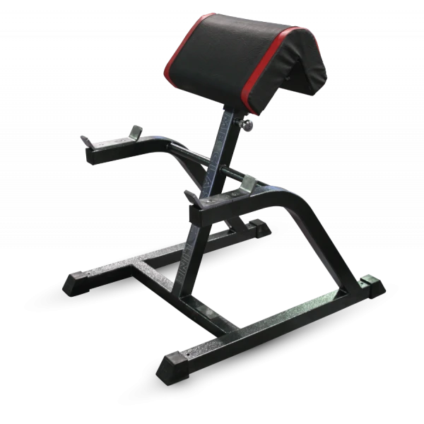 Bicep Curl Bench (Scott Bench)