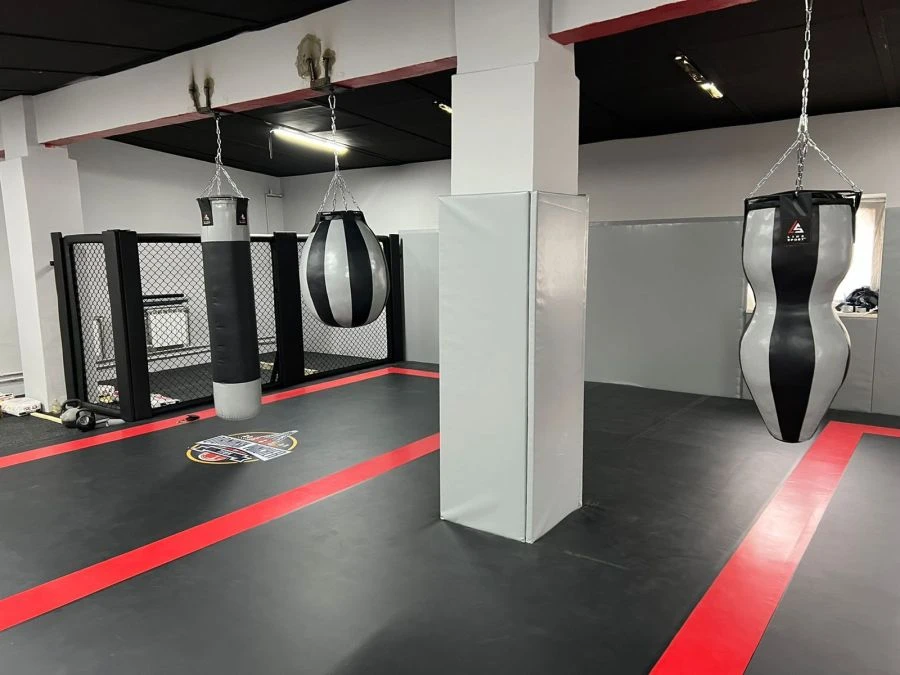 Boxing Bag for Uppercuts, Silhouette, and Hooks