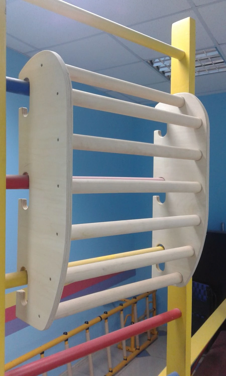 Wall-Mounted Trainer for Back Strengthening