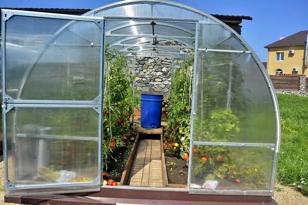 Standard Greenhouse with Galvanized Frame 3m Length