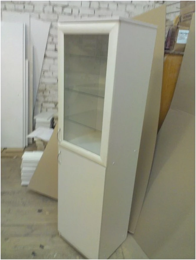 Document Cabinet for Office Organization SHD 1/13