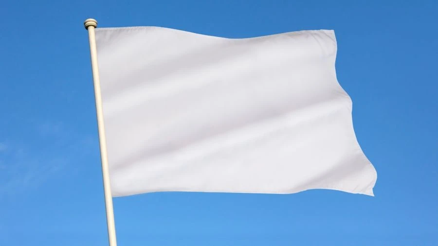 Sports Team Flag with Logo - FL1