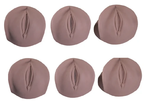 Cervical Canal and Cervix Models for Educational Use, Art. 9