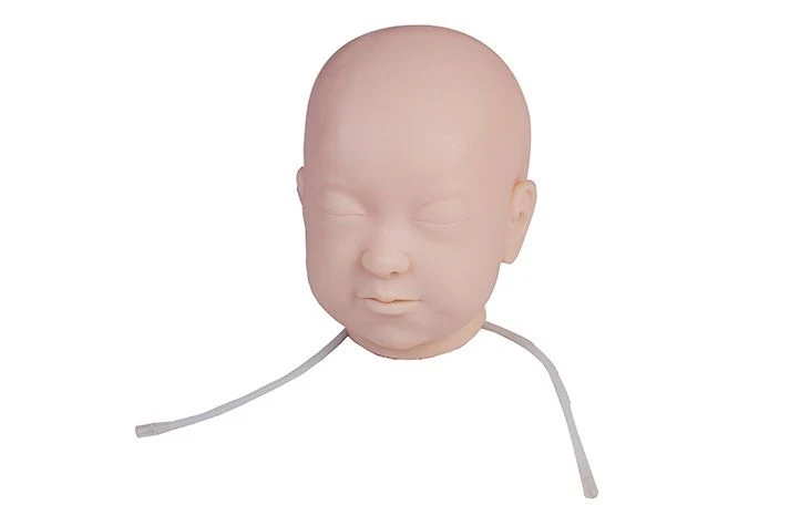 Realistic Newborn Head Model for IV Injection Training, PS6601