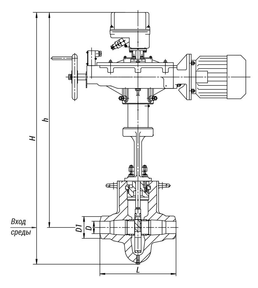 Regulating Valve 1233-100-ЭЧ for Thermal Energy Applications