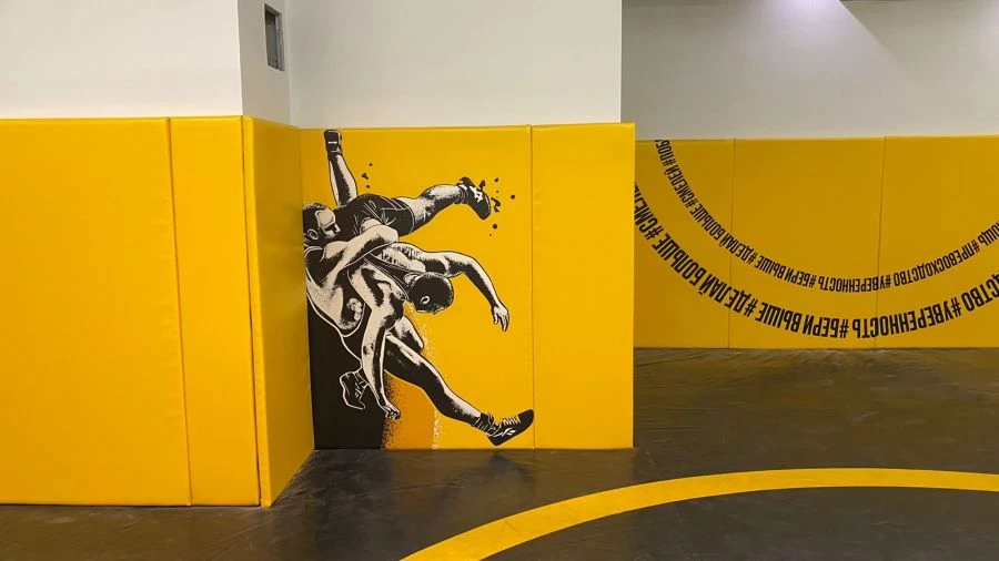 Wall Protector for Safety - Soft Protection for Athletes