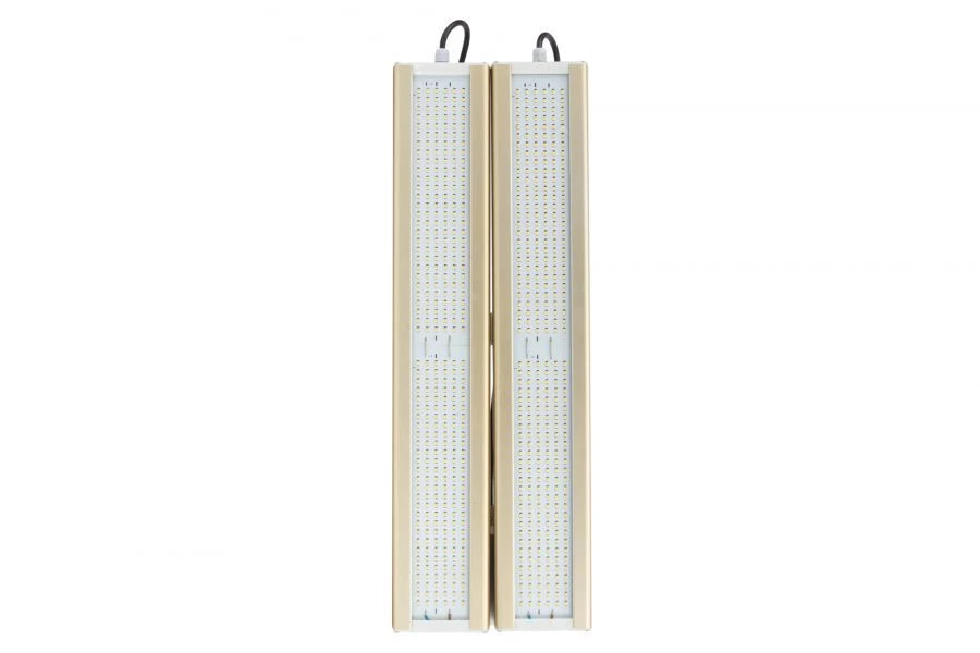 LED Lighting Module GOLD K-2, 5000K, 248W