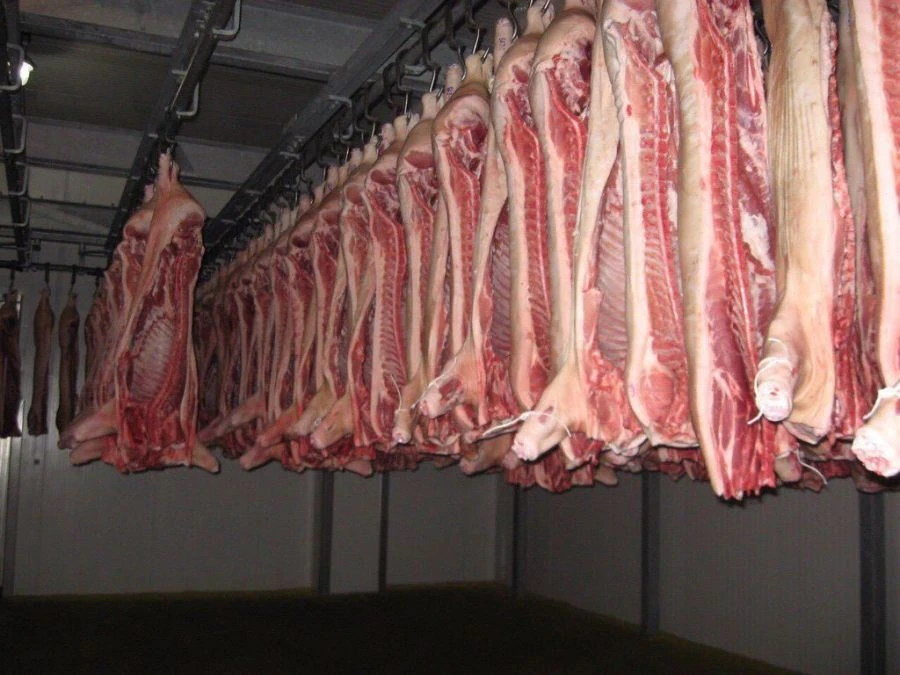 Frozen Half Carcass of Pork