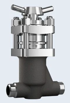 Safety Bellows Shut-off Valve ZT26363 DN 25