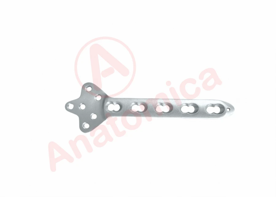 Clover Leaf Plate with Angular Stability for Bone Fracture Fixation