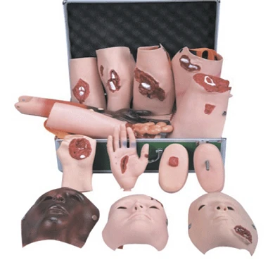 Various Injury Models for Treatment Skills - G110-16