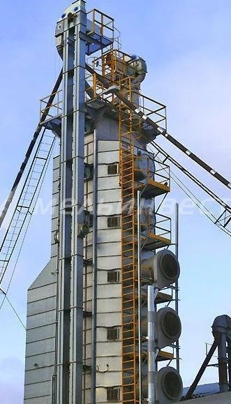 VESTA Grain Dryer Model R1-C30G for Efficient Grain Drying