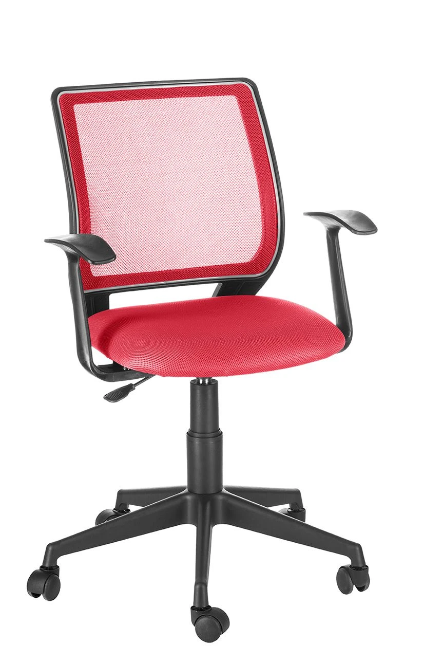 Comfortable Expert Chair with Breathable Backrest