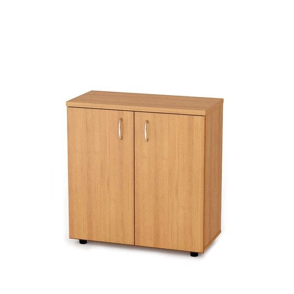 Document Storage Cabinet with Removable Shelf