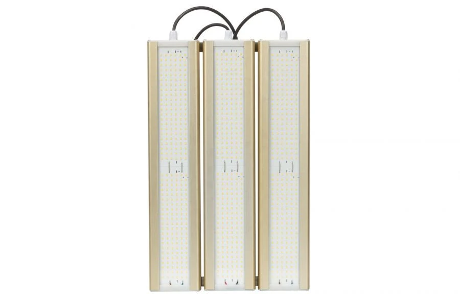 LED Light Module GOLD Universal U-3 4000K 288W