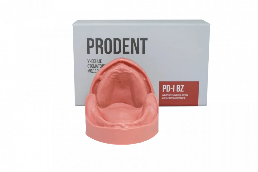 Edentulous Jaw Model with Undercuts PD-I BZ