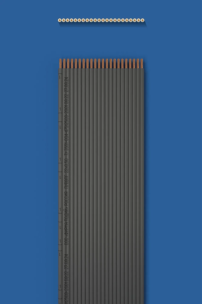 Flat Installation Wire with Double Insulation PUVVPG 22x0.50