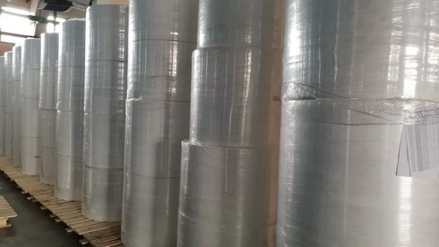 Non-Woven Polypropylene Fabric, Density 25-70 g/m², Type SS