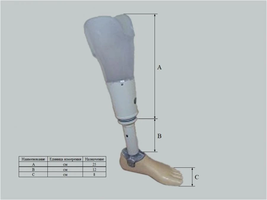 Therapeutic Training Below-Knee Prosthesis - Custom-Made