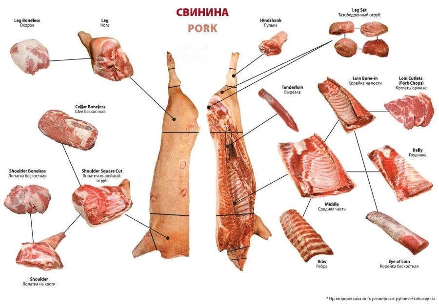 Frozen Pork Meat - Premium Quality