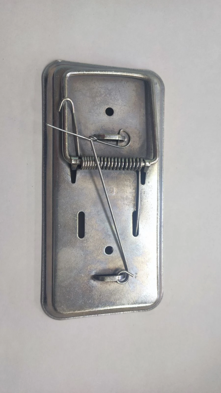 Rodent Traps for Catching Mice, Rats, and Other Rodents