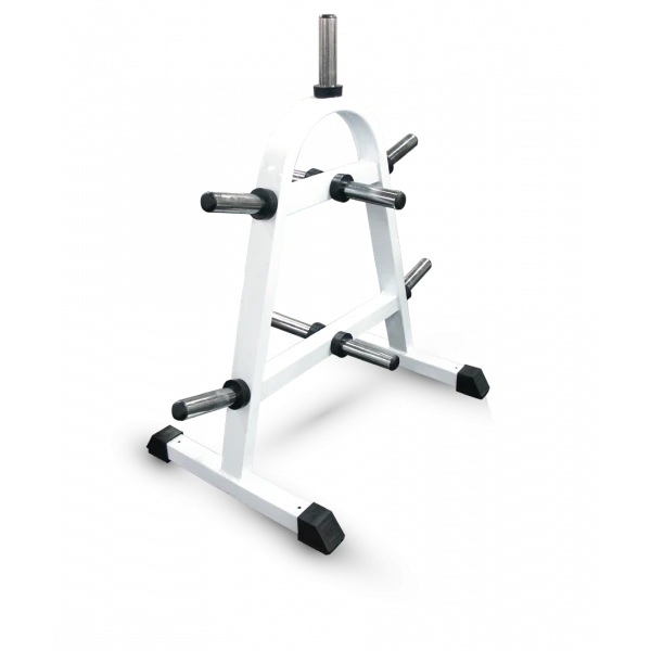 Disk Storage Rack for Home and Fitness Use