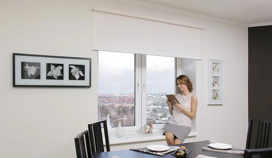 Custom Roller Shades for Small Windows 100x170 cm