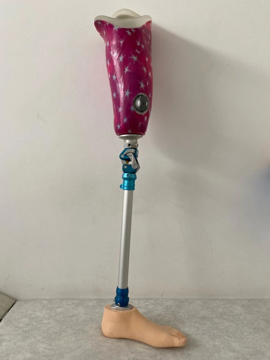 Hip Prosthesis for Bathing PN6-72K