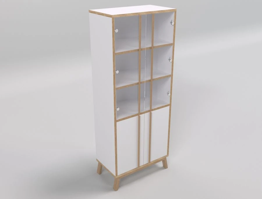 Elegant Document Cabinet with Glass Facades RK1