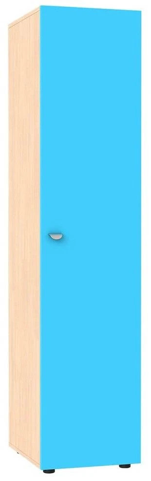 Single-Door Storage Cabinet for Inventory (Type 1)