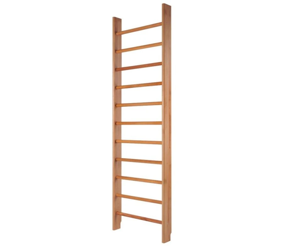 Universal Gym Wall for Kids and Adults - Model ШС-005