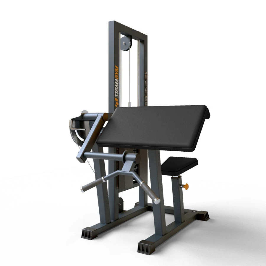 Isolated Bicep Curl Machine BF-106