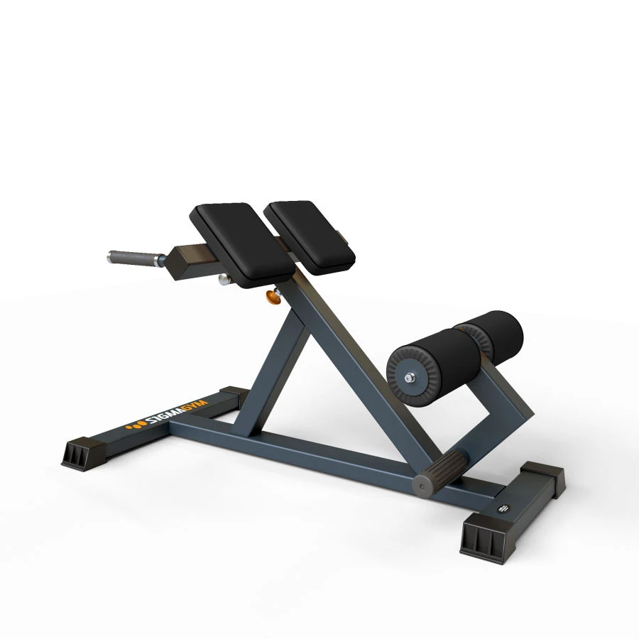 Hyperextension Bench for Back Muscle Training BF-313