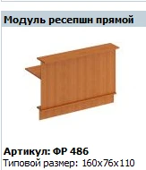 Reception Module Direct "Formula" Model FR 486