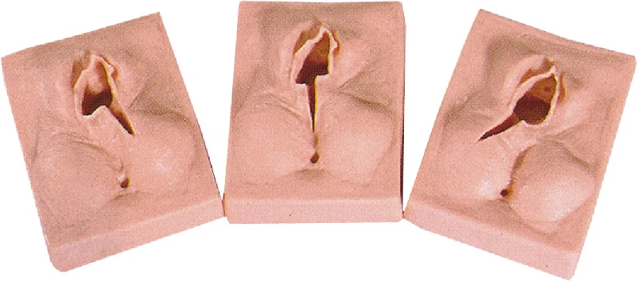 Episiotomy and Suturing Training Model, H
