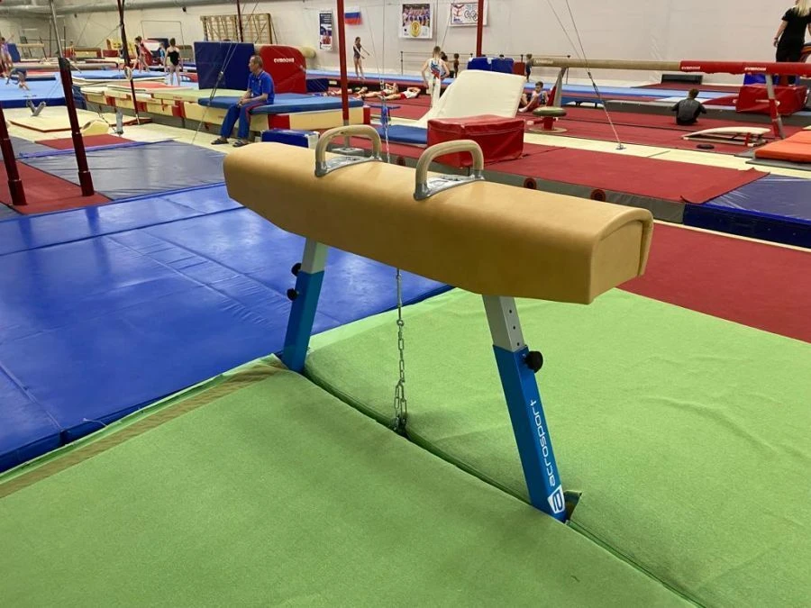 Competitive Pommel Horse for Gymnastics